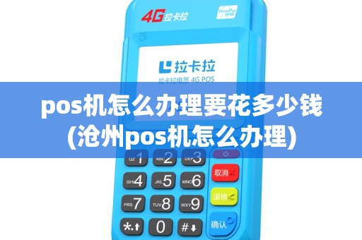 pos机怎么办理要花多少钱(沧州pos机怎么办理)