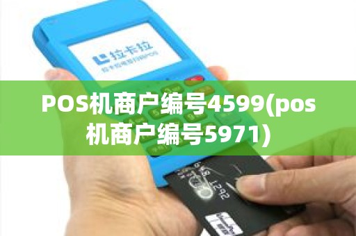 POS机商户编号4599(pos机商户编号5971)