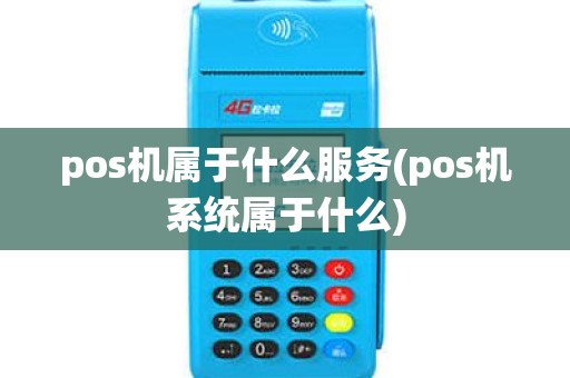 pos机属于什么服务(pos机系统属于什么)