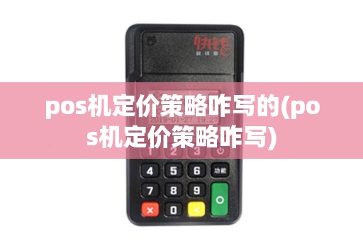 pos机定价策略咋写的(pos机定价策略咋写)