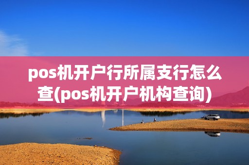 pos机开户行所属支行怎么查(pos机开户机构查询)