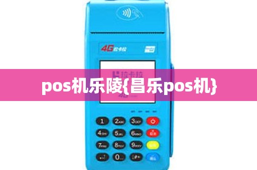 pos机乐陵{昌乐pos机}