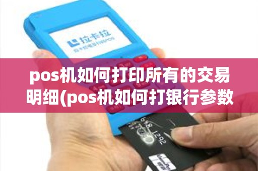 pos机如何打印所有的交易明细(pos机如何打银行参数)