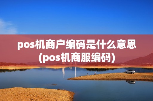 pos机商户编码是什么意思(pos机商服编码)