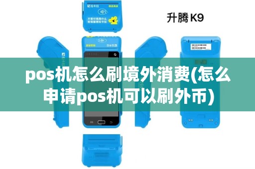 pos机怎么刷境外消费(怎么申请pos机可以刷外币)