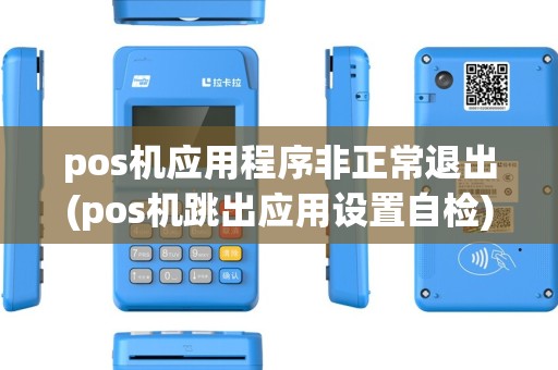pos机应用程序非正常退出(pos机跳出应用设置自检)