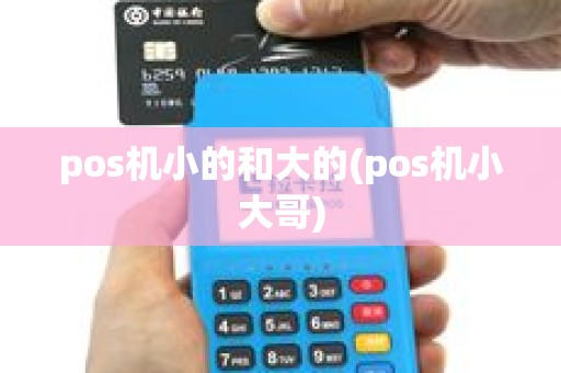 pos机小的和大的(pos机小大哥)