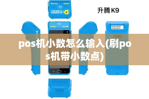 pos机小数怎么输入(刷pos机带小数点)