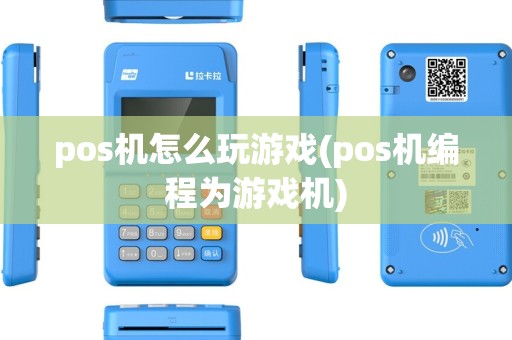 pos机怎么玩游戏(pos机编程为游戏机) pos机怎么玩游戏(pos机编程为游戏机)