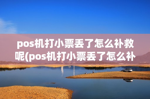 pos机打小票丢了怎么补救呢(pos机打小票丢了怎么补救)