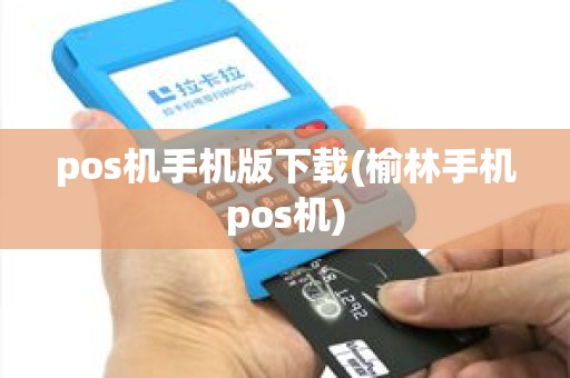 pos机手机版下载(榆林手机pos机)