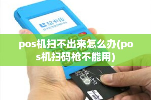 pos机扫不出来怎么办(pos机扫码枪不能用)