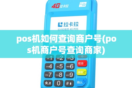 pos机如何查询商户号(pos机商户号查询商家) pos机如何查询商户号(pos机商户号查询商家)