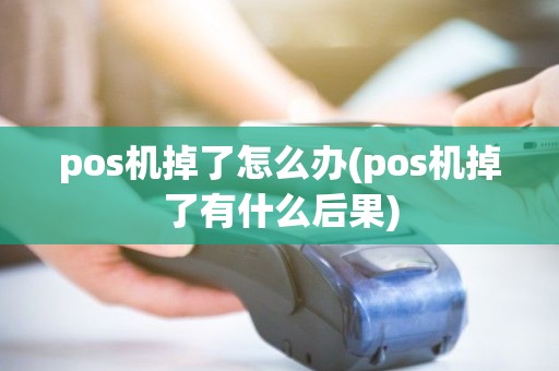 pos机掉了怎么办(pos机掉了有什么后果) pos机掉了怎么办(pos机掉了有什么后果)
