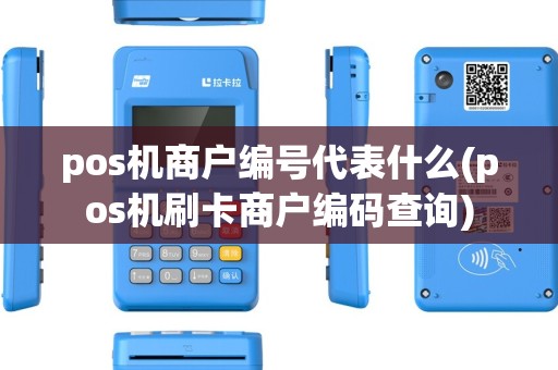 pos机商户编号代表什么(pos机刷卡商户编码查询) pos机商户编号代表什么(pos机刷卡商户编码查询)
