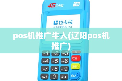 pos机推广牛人(辽阳pos机推广) pos机推广牛人(辽阳pos机推广)
