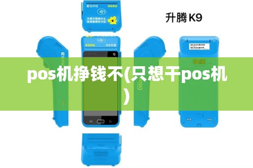 pos机挣钱不(只想干pos机) pos机挣钱不(只想干pos机)