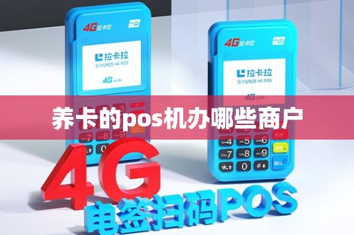 养卡的pos机办哪些商户