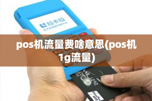 pos机流量费啥意思(pos机1g流量) pos机流量费啥意思(pos机1g流量)