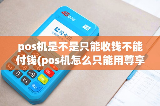 pos机是不是只能收钱不能付钱(pos机怎么只能用尊享) pos机是不是只能收钱不能付钱(pos机怎么只能用尊享)