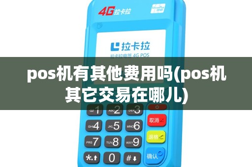 pos机有其他费用吗(pos机其它交易在哪儿) pos机有其他费用吗(pos机其它交易在哪儿)
