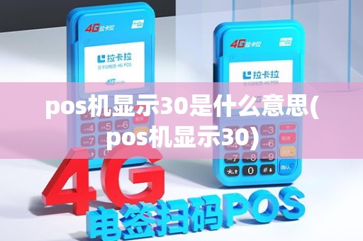 pos机显示30是什么意思(pos机显示30)