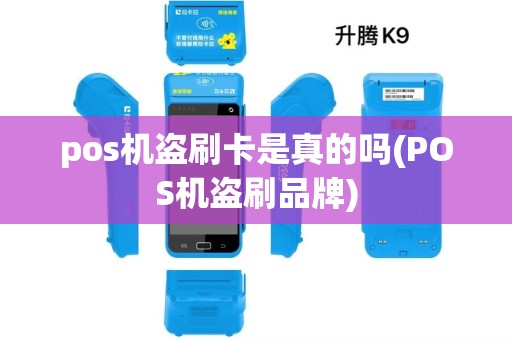 pos机盗刷卡是真的吗(POS机盗刷品牌)