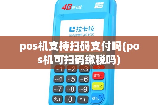 pos机支持扫码支付吗(pos机可扫码缴税吗)