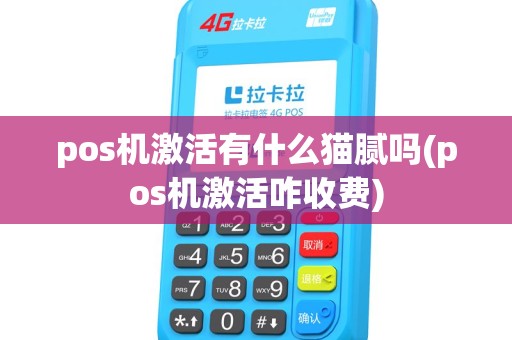 pos机激活有什么猫腻吗(pos机激活咋收费)